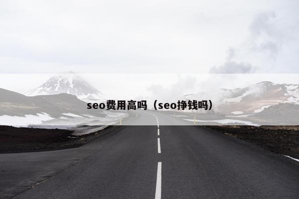 seo费用高吗（seo挣钱吗）