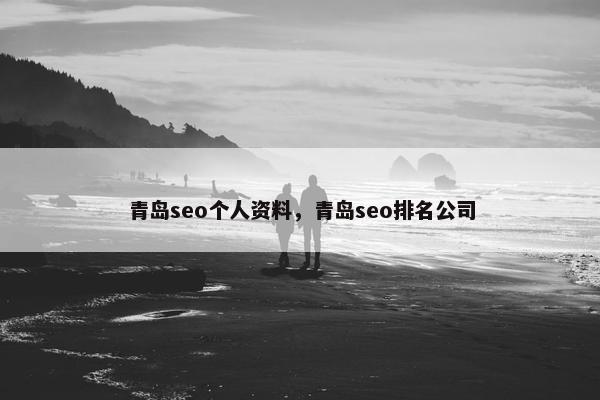 青岛seo个人资料，青岛seo排名公司