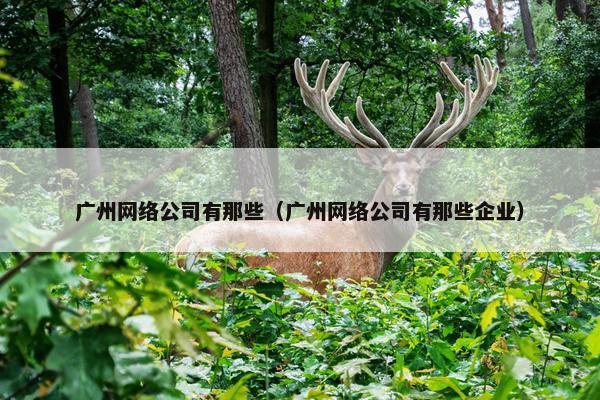 广州网络公司有那些（广州网络公司有那些企业）