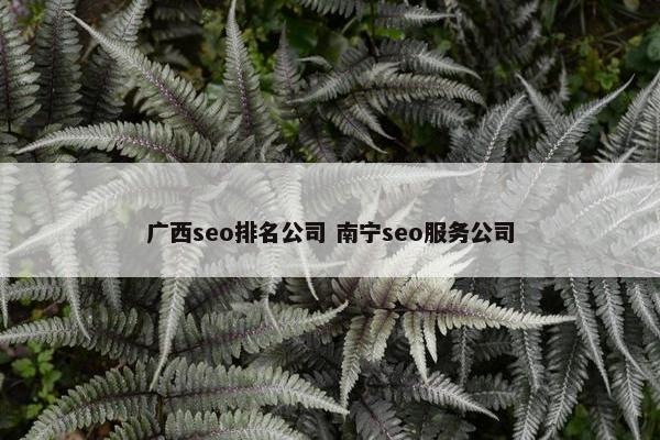 广西seo排名公司 南宁seo服务公司