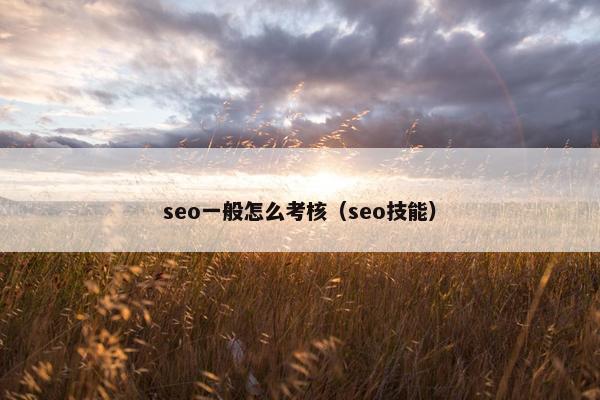 seo一般怎么考核（seo技能）