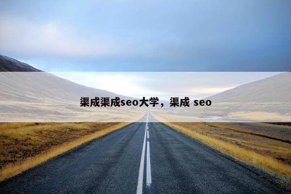 渠成渠成seo大学，渠成 seo