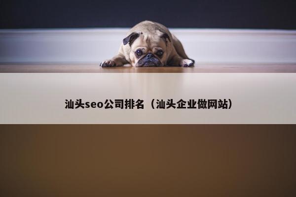 汕头seo公司排名（汕头企业做网站）