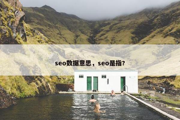 seo数据意思，seo是指?