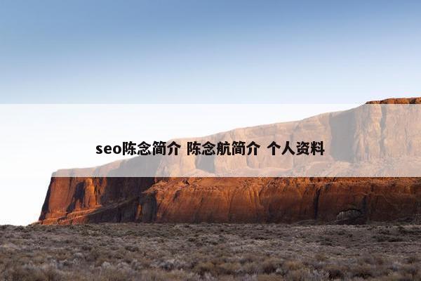 seo陈念简介 陈念航简介 个人资料