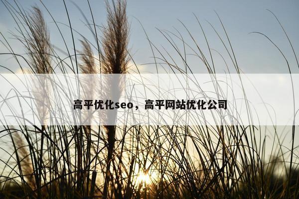 高平优化seo，高平网站优化公司