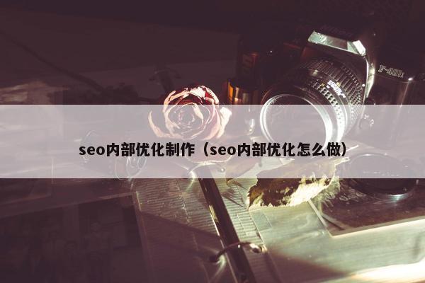 seo内部优化制作（seo内部优化怎么做）