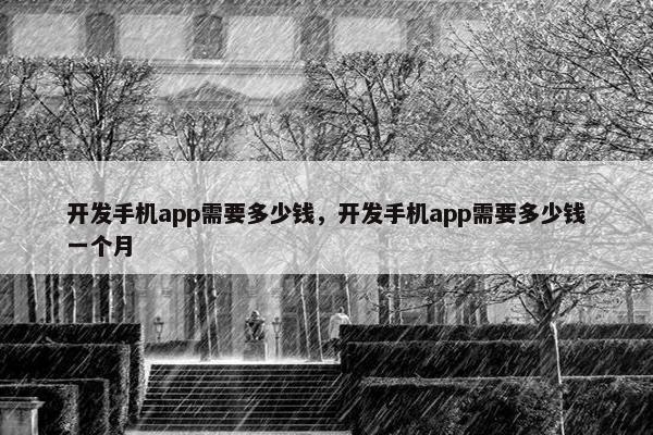 开发手机app需要多少钱，开发手机app需要多少钱一个月