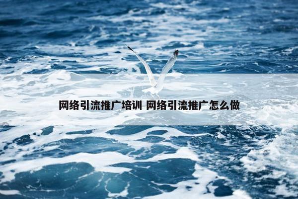 网络引流推广培训 网络引流推广怎么做