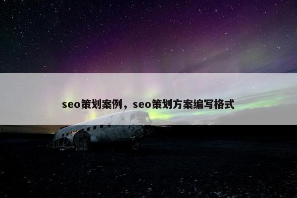 seo策划案例，seo策划方案编写格式