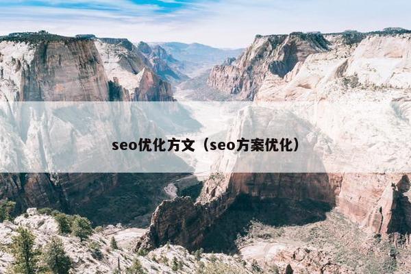 seo优化方文（seo方案优化）