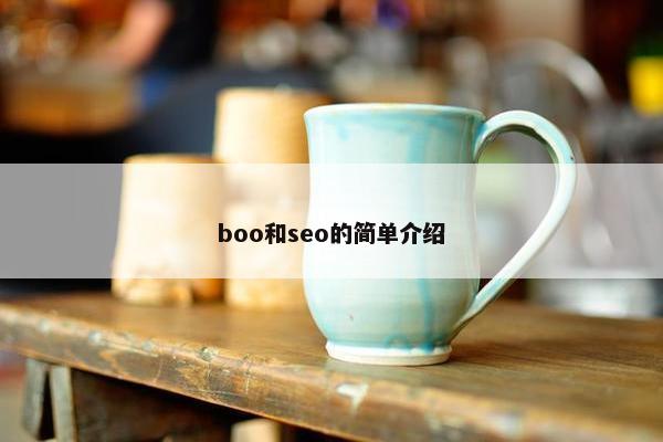 boo和seo的简单介绍