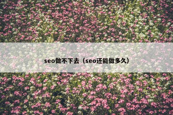 seo做不下去（seo还能做多久）