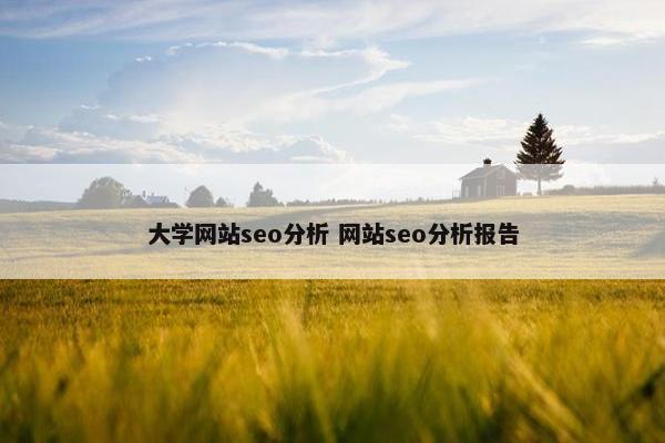 大学网站seo分析 网站seo分析报告