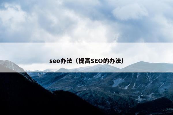 seo办法（提高SEO的办法）