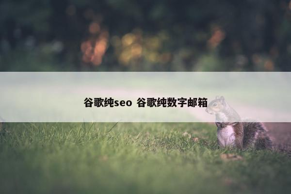 谷歌纯seo 谷歌纯数字邮箱