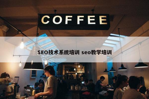 SEO技术系统培训 seo教学培训