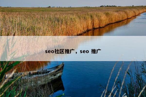 seo社区推广，seo 推广