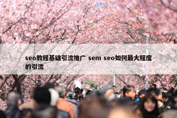 seo教程基础引流推广 sem seo如何最大程度的引流