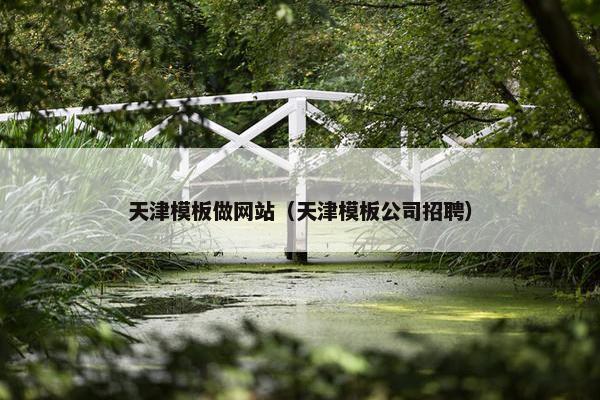 天津模板做网站（天津模板公司招聘）