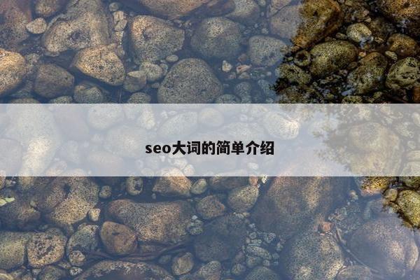 seo大词的简单介绍