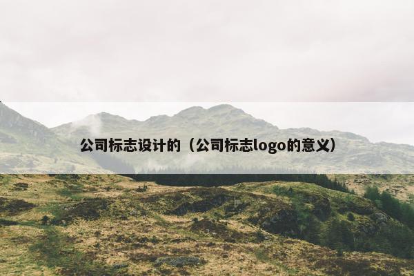 公司标志设计的（公司标志logo的意义）