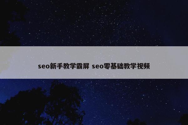 seo新手教学霸屏 seo零基础教学视屏