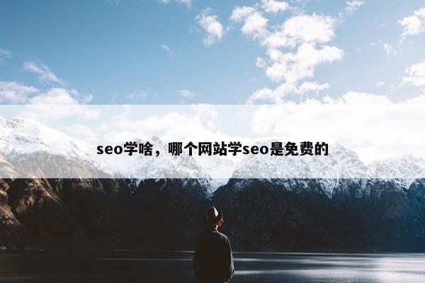 seo学啥，哪个网站学seo是面菲的