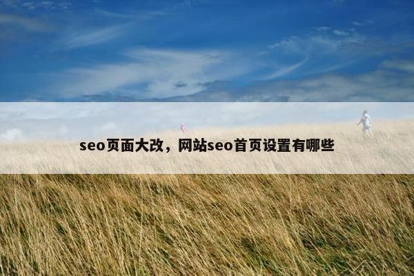 seo页面大改，网站seo首页设置有哪些