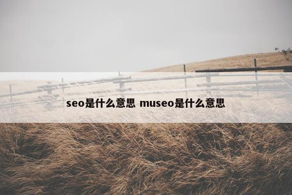 seo是什么意思 museo是什么意思