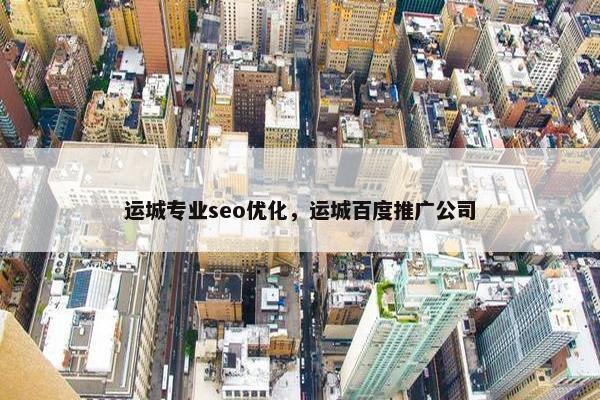 运城专业seo优化，运城百度推广公司