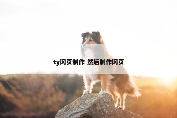 ty网页制作 然后制作网页