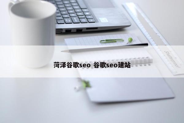 菏泽谷歌seo 谷歌seo建站