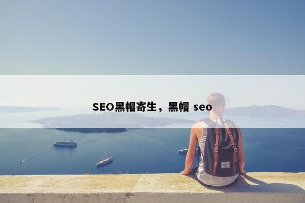 SEO黑帽寄生，黑帽 seo