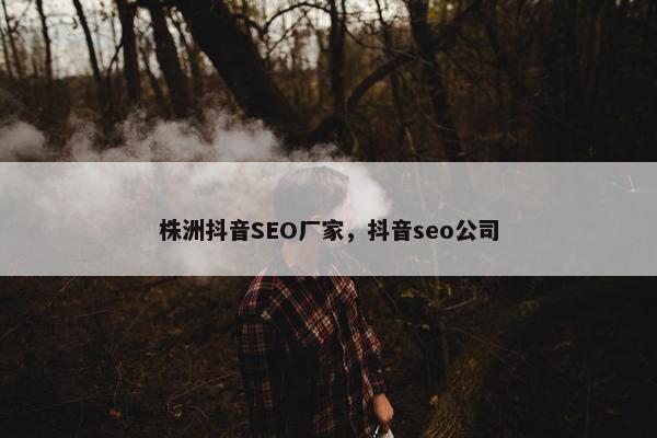 株洲抖音SEO厂家，抖音seo公司