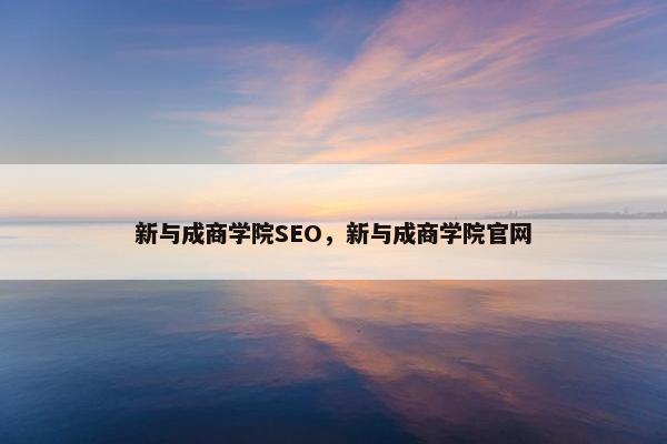 新与成商学院SEO，新与成商学院