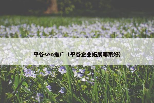 平谷seo推广（平谷企业拓展哪家好）