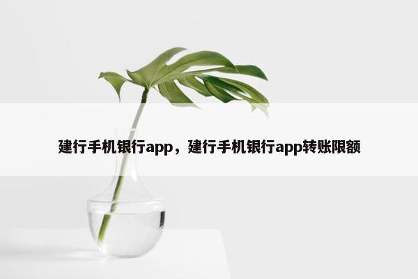 建行手机银行app，建行手机银行app转账限额