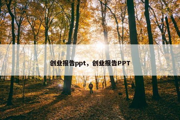 创业报告ppt，创业报告PPT