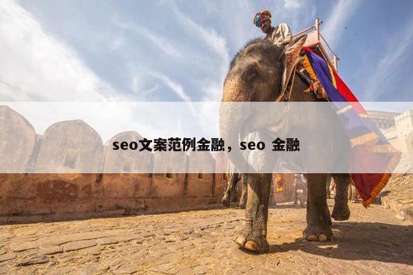 seo文案范例金融，seo 金融