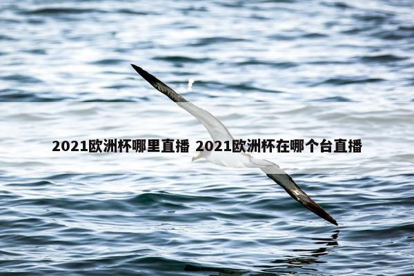 2021欧洲杯哪里直播 2021欧洲杯在哪个台直播