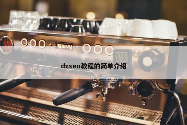 dzseo教程的简单介绍