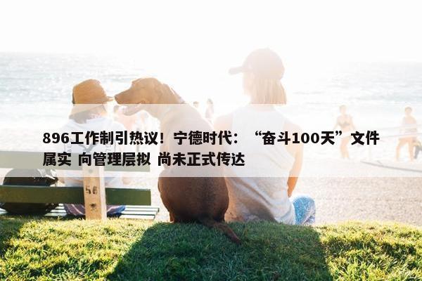 896工作制引热议！宁德时代：“奋斗100天”文件属实 向管理层拟 尚未正式传达