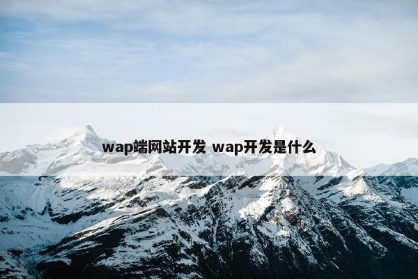 wap端网站开发 wap开发是什么