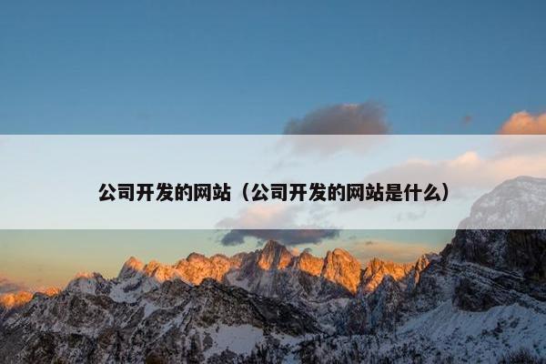 公司开发的网站（公司开发的网站是什么）