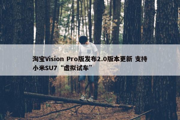 淘宝Vision Pro版发布2.0版本更新 支持小米SU7“虚拟试车”