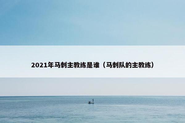 2021年马刺主教练是谁（马刺队的主教练）