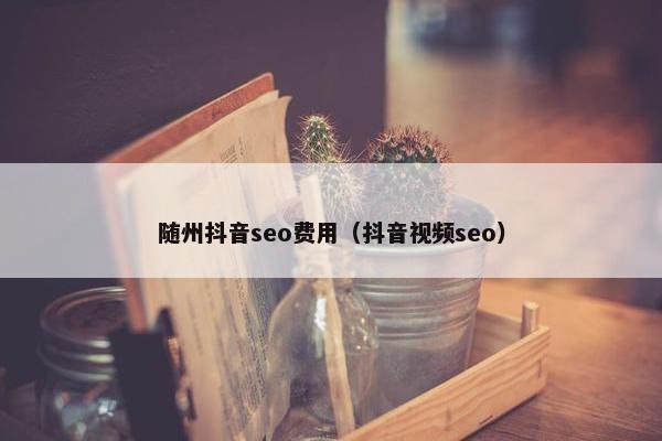 随州抖音seo费用（抖音视屏seo）