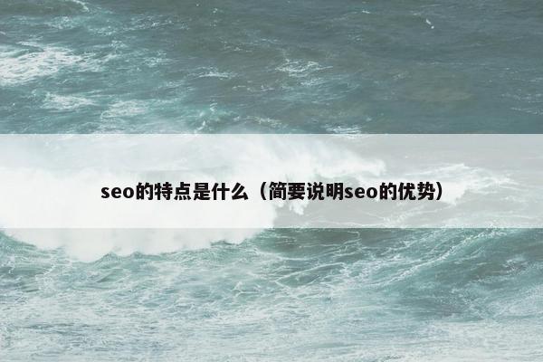 seo的特点是什么（简要说明seo的优势）