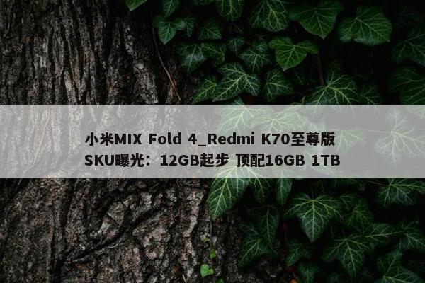 小米MIX Fold 4_Redmi K70至尊版SKU曝光：12GB起步 顶配16GB 1TB